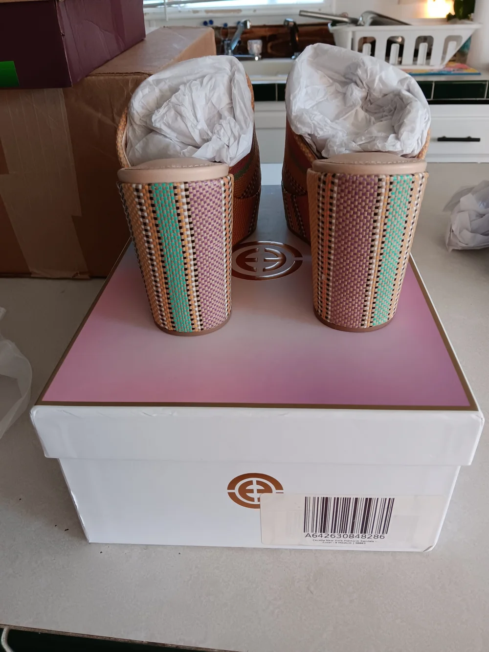 Cecelia Women’s Multicolor Woven Platform Slide Sandals Size 9